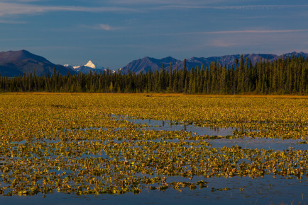 A lake in sunrise, 10 miles west to Glennallen, Alaska