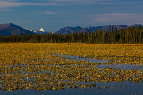 A lake in sunrise, 10 miles west to Glennallen, Alaska