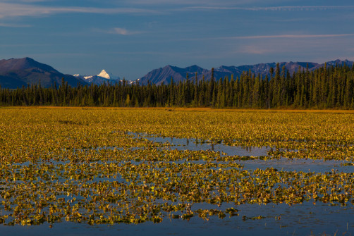 A lake in sunrise, 10 miles west to Glennallen, Alaska