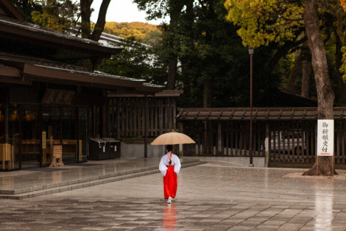 Meiji Shrine (明治神宫), Tokyo