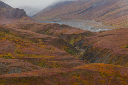 Near Eielson Visitor Center, Denali National Park, Alaska