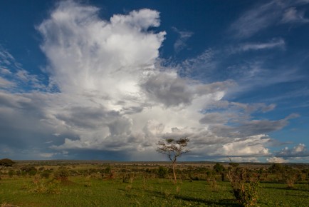 The dramatic cloud in Tarangire National Park.
