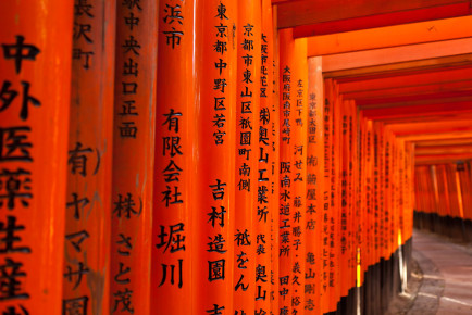 Tori (鸟居) at Fushimi Inari Shrine (伏見稲荷大社), Kyot