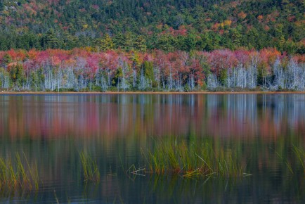 Upper Hadlock Pond, Acadia National Park, Maine
