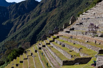 The terraces, Machu Picchu