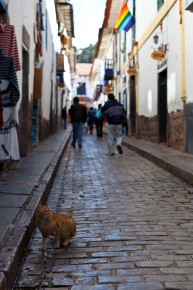 Alleys leading to Colcampata Hill,  Cusco