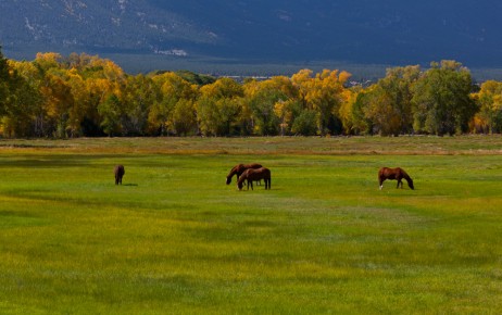 A road-side ranch near Buena Vista, Colorado