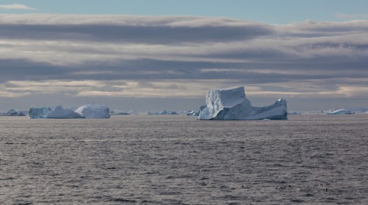 Icebergs, Antarctic Sound