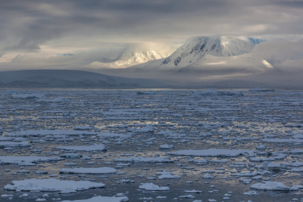 Flanders Bay, Antarctic Peninsula