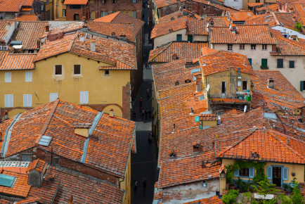 Overlook Lucca city from the top of Guinigi Tower