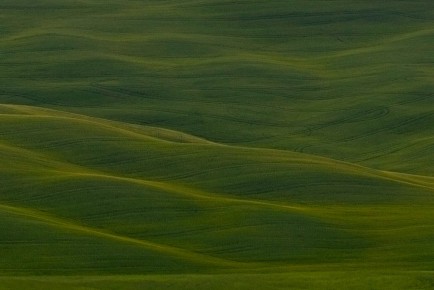 Rolling hills of Southern Tuscany