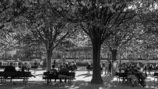 Square Jean XXIII at the back of Notre-Dame, Paris