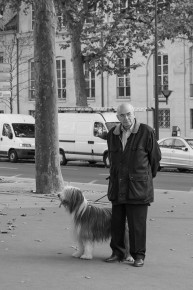 A elder man with his dog near Pont de l'Archevêché, Paris