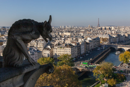 Chimera overlooking River Seine, Notre-Dame de Paris