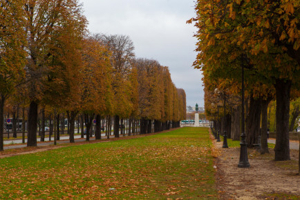 Port des Champs-Élysées, Paris