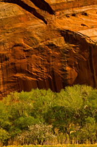 By the Fremont River, Capitol Reef National Park, Utah