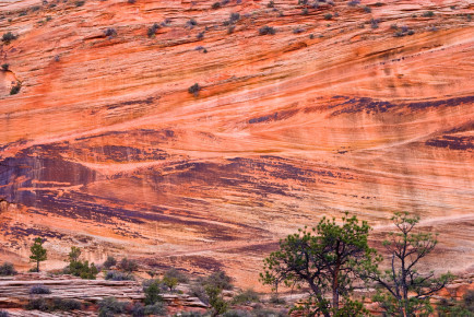 Zion National Park, Utah