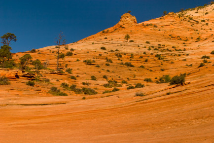 Zion National Park, Utah